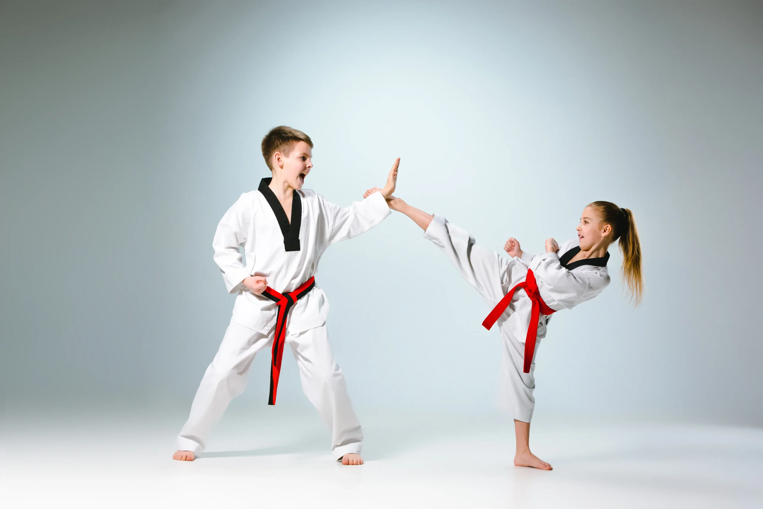 Martial Arts and Self-Defense Programs
